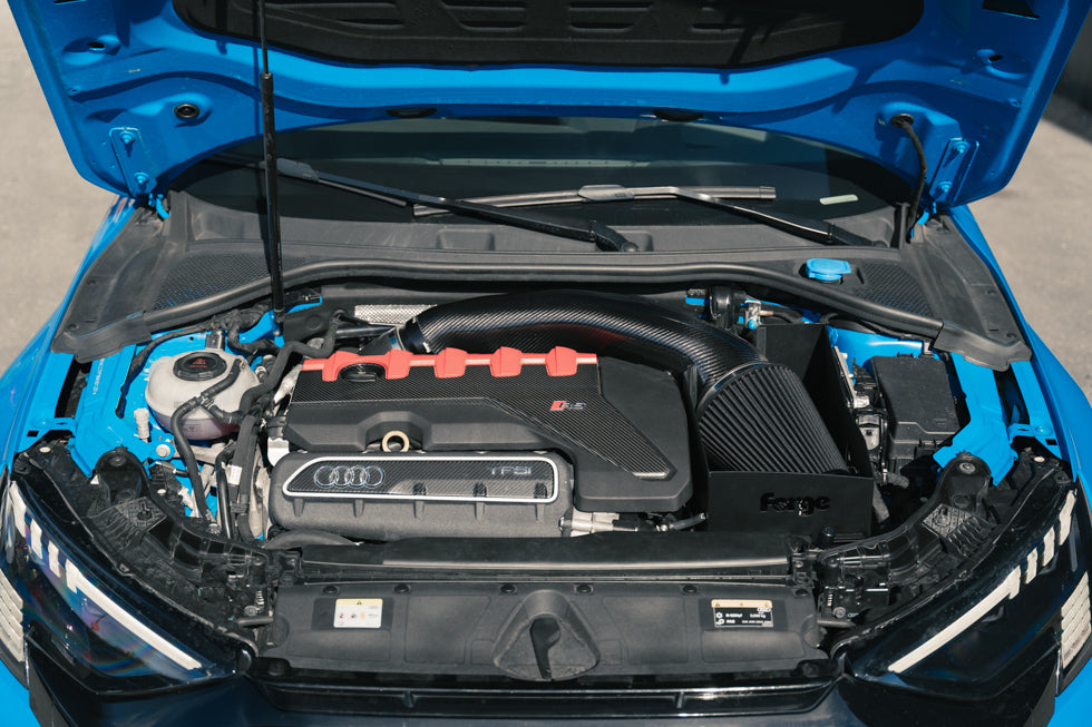 Admision Carbono Forge Audi RS3 8V 2017/20