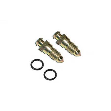 TORNILLO DE PURGA AP RACING 10X100