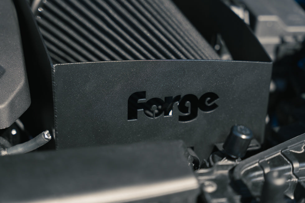 Admision Carbono Forge Audi RS3 8V 2017/20