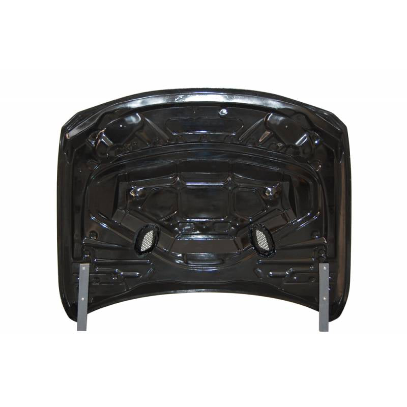 Capó Carbono BMW F30 / F31 / F32 / F33 / F36 Look GTR