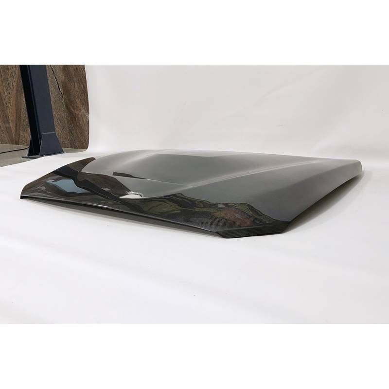 Capó Carbono Bmw Serie 1 F20/F21 2012-2019