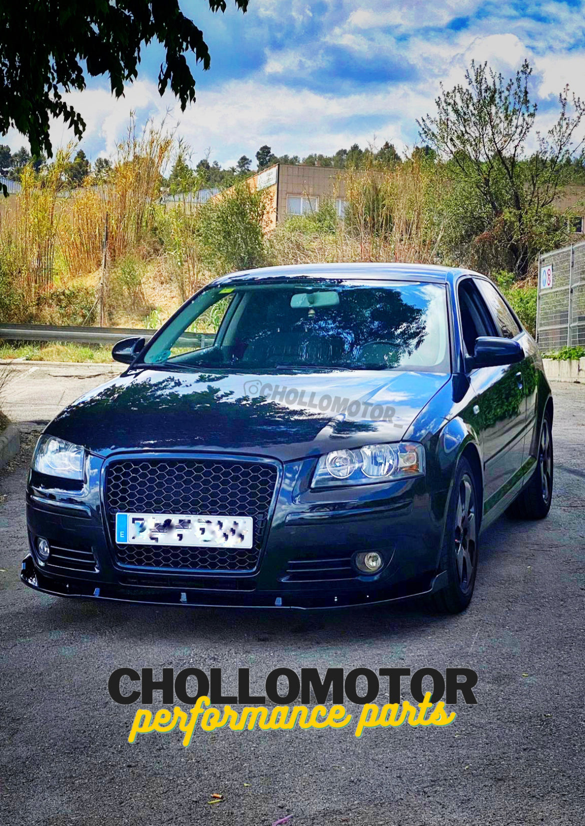 Parrilla abeja Audi a3 8p