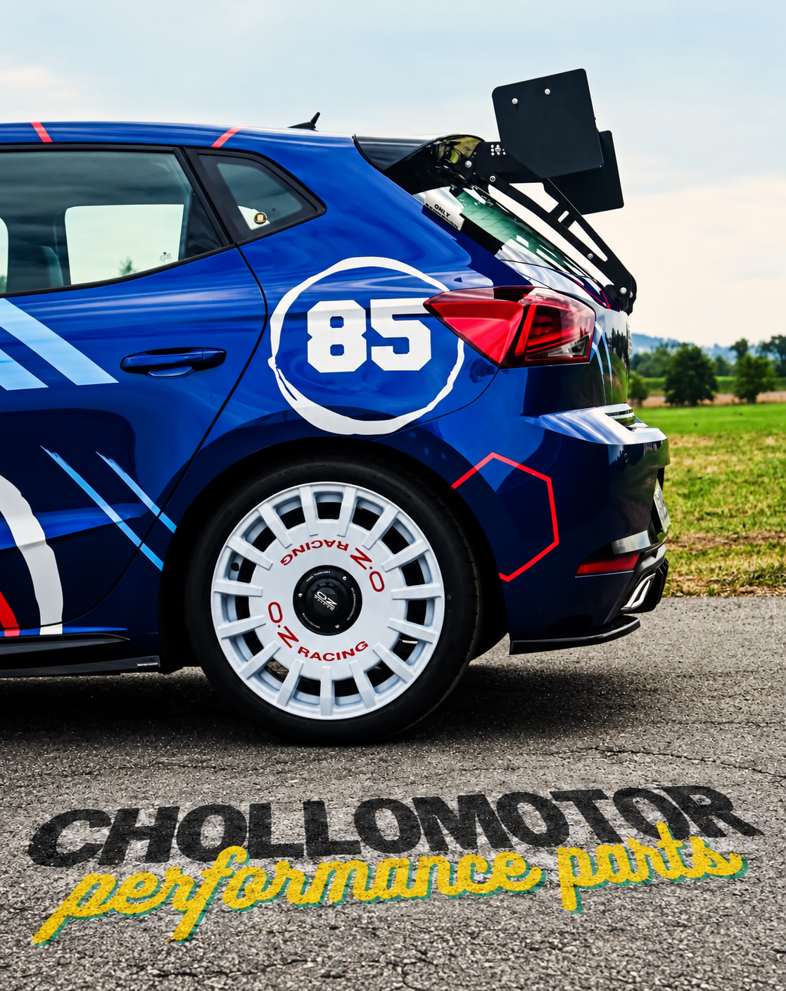 Aleron look TCR Seat Ibiza 6F