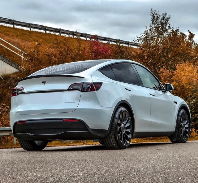 Alerón tesla model Y