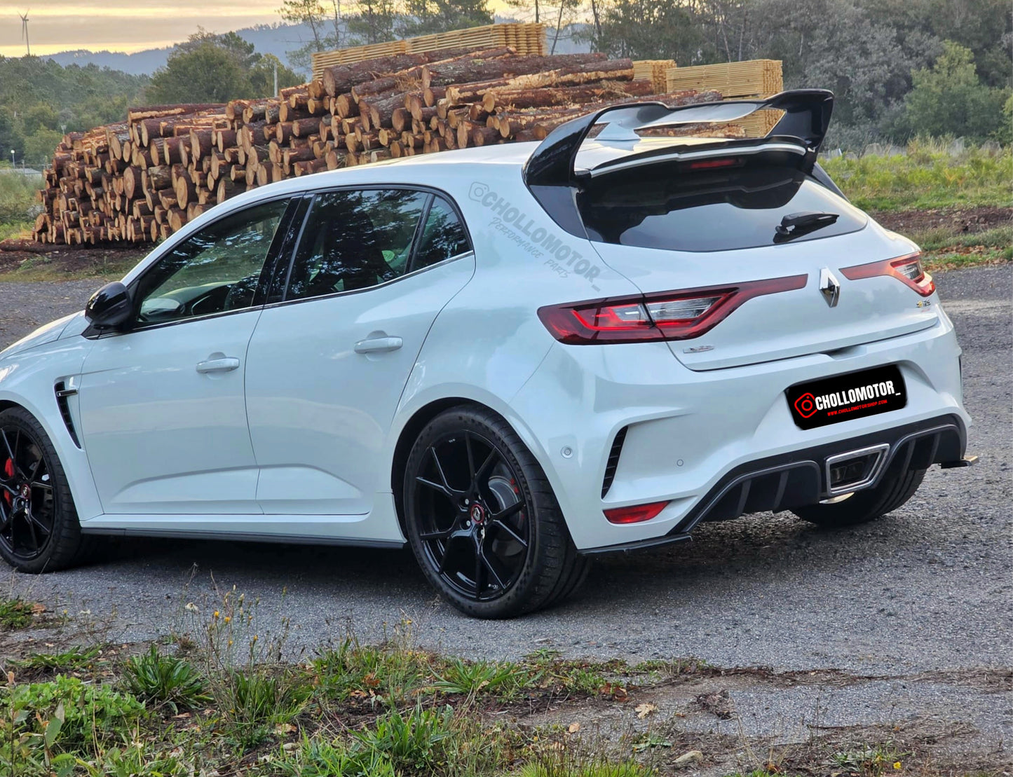 Aleron Renault Megane 4 RS