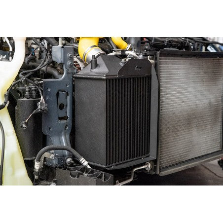 Intercooler Forge Renault Megane Mk4 RS 280 / 300