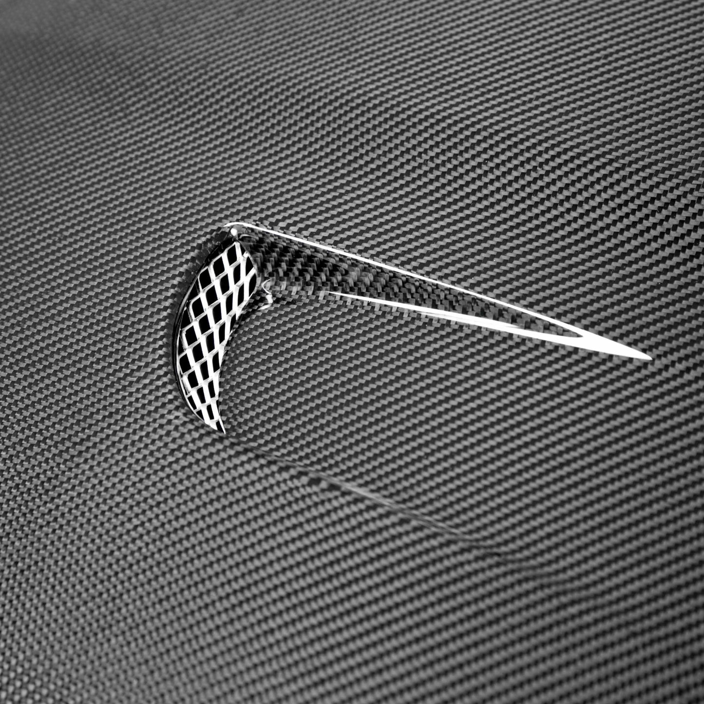 Capo de carbono Seibon TM-Style para Ford Fiesta ST MK7