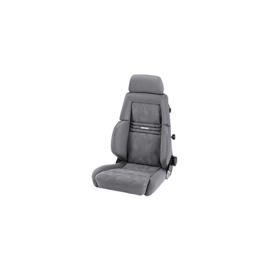 ASIENTO RECARO EXPERT EXPERT M (LT/W) ARTISTA GRIS/NARDO GRIS PILOTO&COPILOTO