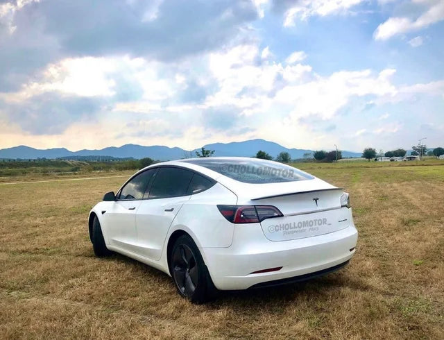 Aleron tesla model 3