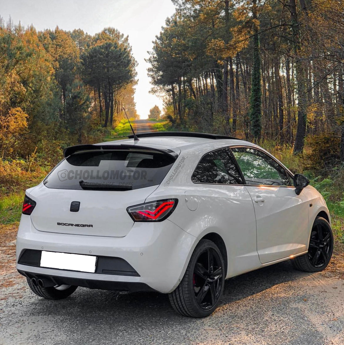Alerón cupra para ibiza 6j 3p