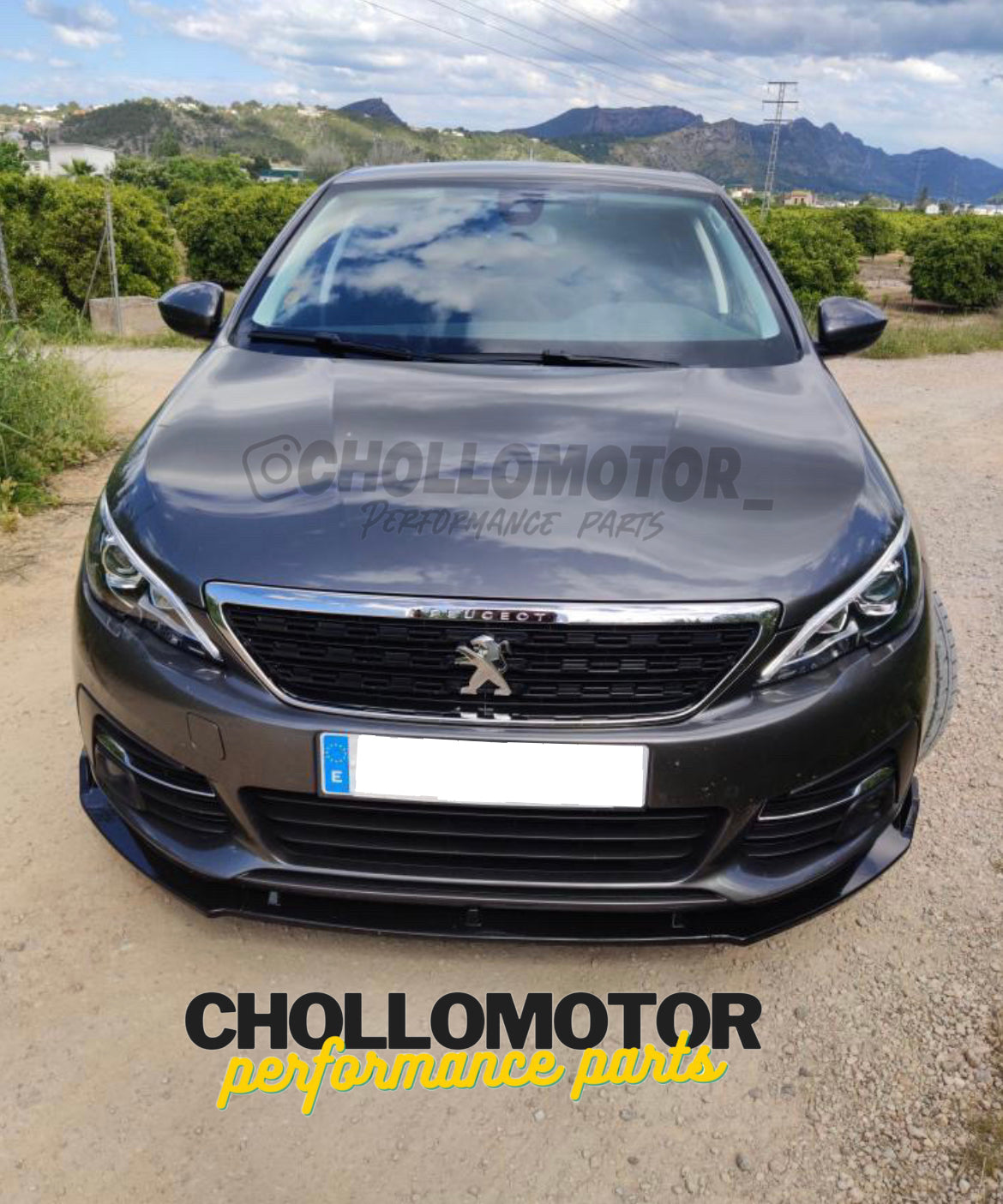 Lip Peugeot 308