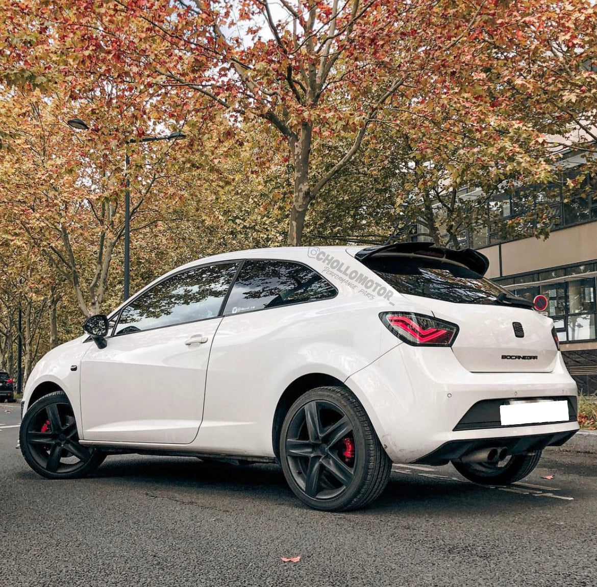 Alerón cupra para ibiza 6j 3p