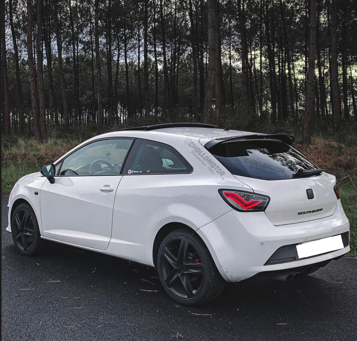 Alerón cupra para ibiza 6j 3p